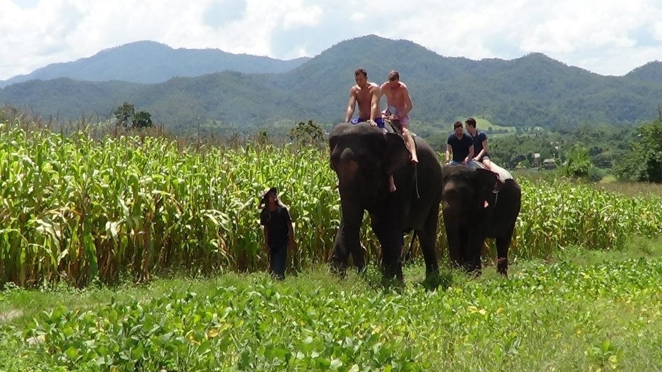 Ride an Elephant ✅